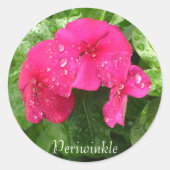 Dewdruppels op Stickers van Periwinkle (Voorkant)