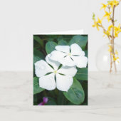 Dewdruppels op wit kaart (Gele Bloem)