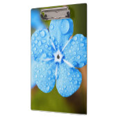 Dewey blue flower klembord (Links)
