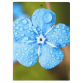 Dewey blue flower klembord (Achterkant)