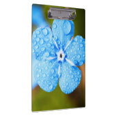 Dewey blue flower klembord (Rechts)