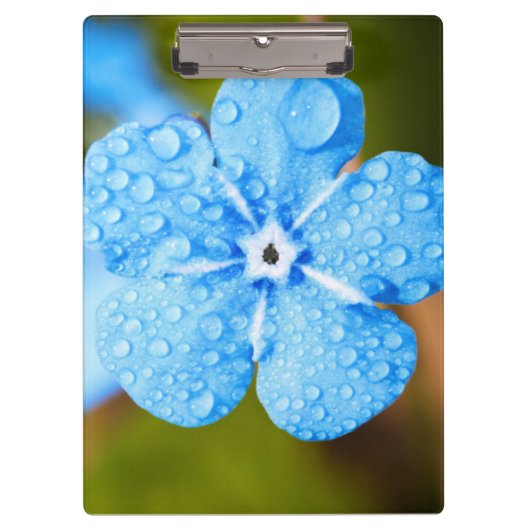 Dewey blue flower klembord (Voorkant)
