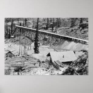 Dewey Gold Mine op Thunder Mountain, Idaho Poster