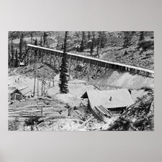 Dewey Gold Mine op Thunder Mountain, Idaho Poster (Voorkant)