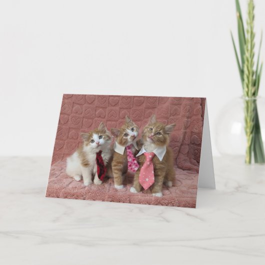 Dewey, Louie en Huey zijn allemaal verkleed Kaart (Voorkant)