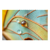 Dewlit Wing Patterns Perfect Poster (Voorkant)