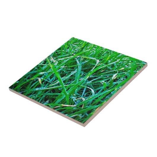 Dewy Grass Tegeltje (Zijkant)