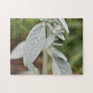 Dewy Green Leaf Lush Summer Garden Leaves Flower Legpuzzel