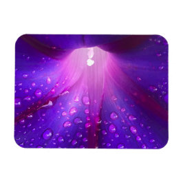 Dewy Morning Glory Magnet Magneet