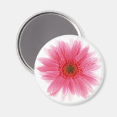 Dewy Pink Gerbera Flower Magneet (Voorkant / Achterkant)