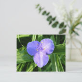 Dewy Trillium Spring Wildflower Briefkaart (Staand voorkant)