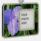 Dewy Trillium Spring Wildflower Verzilverd Omlijst Ornament (Rechts)