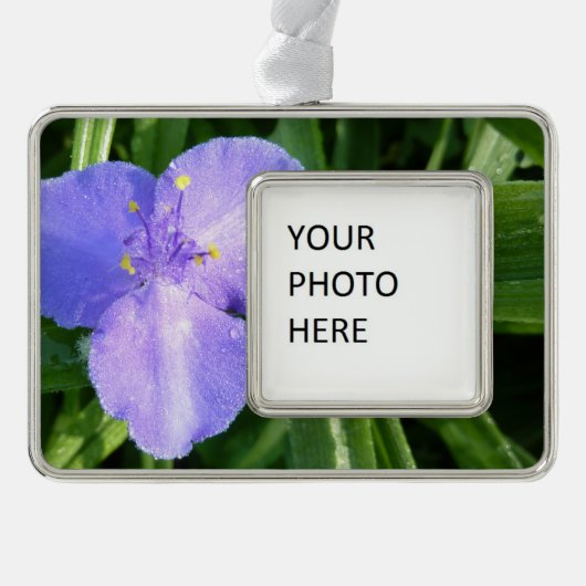 Dewy Trillium Spring Wildflower Verzilverd Omlijst Ornament (Voorkant)