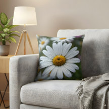 Dewy White Daisy Flower Close-up Natuur Foto