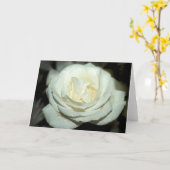 Dewy white rose - blank wenskaart kaart (Gele Bloem)