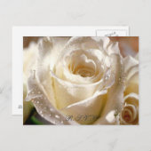 Dewy White Rose R.S.V.P. ansichtkaart Uitnodiging Briefkaart (Voorkant / Achterkant)