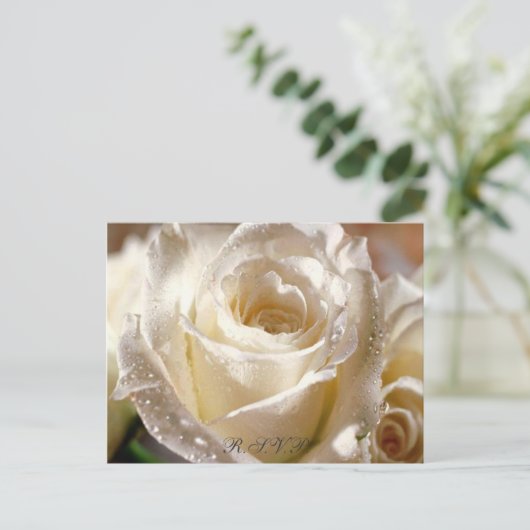 Dewy White Rose R.S.V.P. ansichtkaart Uitnodiging Briefkaart (Staand voorkant)