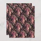 Dex (Voorkant / Achterkant)