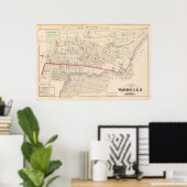 Dexter Asylum en Central Bridge Atlas Map Poster (Thuiskantoor)