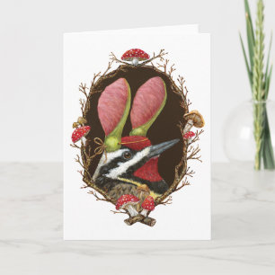 Dexter de sapsucker kaart