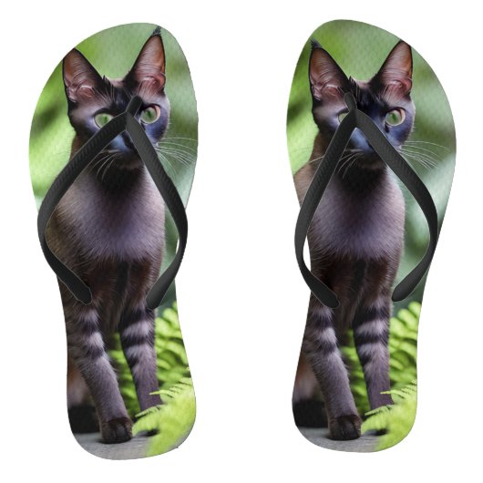 Dexter de zwarte Siamese kat, Flip Flops (Voetbed)