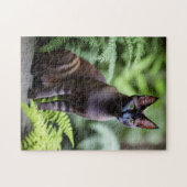 Dexter De Zwarte Siamese Kat, puzzel (Horizontaal)
