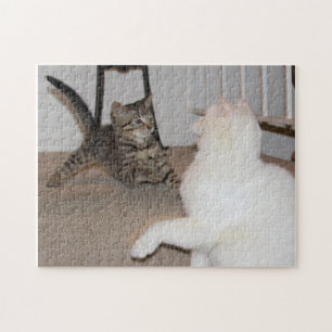 Dexter en P.K. Legpuzzel