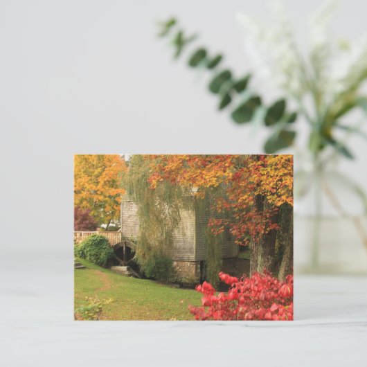 Dexter Grist Mill Sandwich Cape Cod Briefkaart (Staand voorkant)