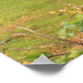 Dexter Grist Mill Sandwich Cape Poster (Hoek)