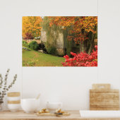 Dexter Grist Mill Sandwich Cape Poster (Keuken)