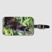 Dexter The Black Siamese Cat, Bagagelabel (Voorkant (horizontaal))