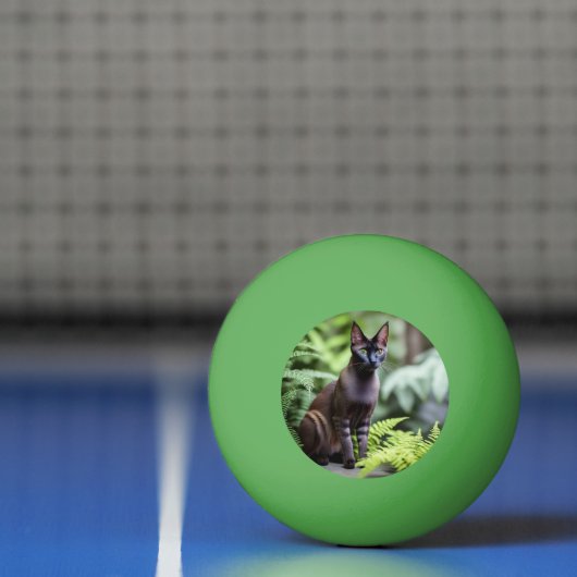 Dexter The Black Siamese Cat, Ping Pong Ball (Net)