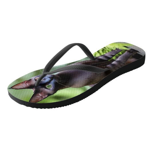 Dexter The Black Siamese Cat, Teenslippers (Schuin)