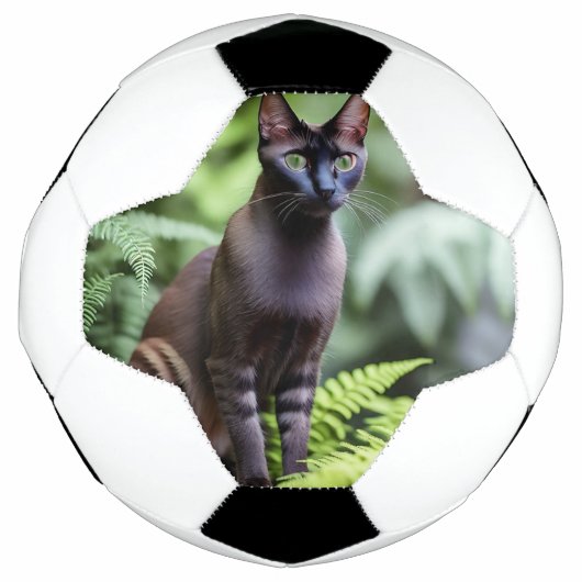 Dexter The Black Siamese Cat, Voetbal (Voorkant)