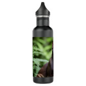 Dexter The Black Siamese Cat, Water Bottle Waterfles (Links)