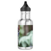 Dexter The Black Siamese Cat, Water Bottle Waterfles (Rechts)