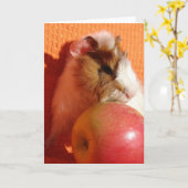 Deze appel is te groot voor mij kaart (Gele Bloem)