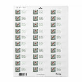 DEZE BOEK-CARDINALl-RETURN ADRES ETIKETTERS Etiket (Full Sheet)