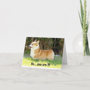 DEZE CORGIE WEET WAAROM U BLIJ BENT OP 21 KAART