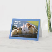 DEZE DOCUMENTEN ZEGGEN **MOOI BIRTHDAAG** GROEPSKA KAART (Voorkant)