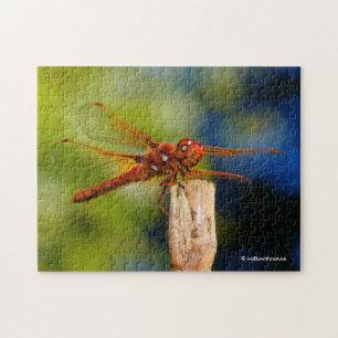 Deze Dragonfly is zo vliegen als hij glimlacht. Legpuzzel