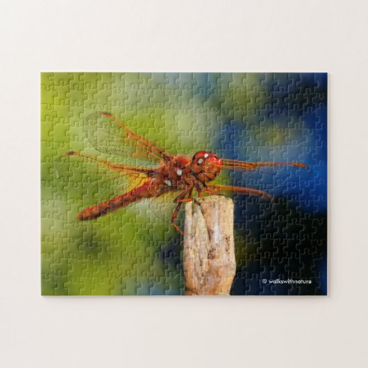 Deze Dragonfly is zo vliegen als hij glimlacht. Legpuzzel (Horizontaal)