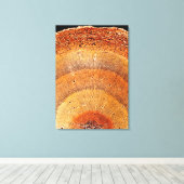 Deze dwarsdoorsnede van dennenhout shows de epider canvas afdruk (Insitu (Houten vloer))