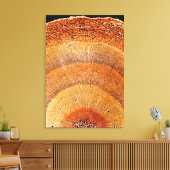 Deze dwarsdoorsnede van dennenhout shows de epider canvas afdruk (Insitu (Woonkamer))