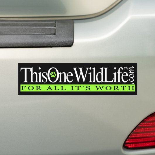 Deze ene Bumpersticker uit het wild leven (Op auto)