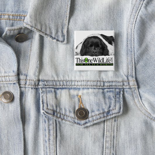 Deze ene Button uit het wild leven (In situ)