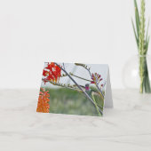 Deze ene Kaart (Voorkant)