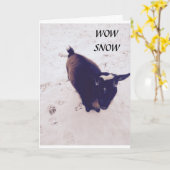 DEZE GEIT IS ZO'N KIDDER OP JE VERJAARDAG KAART (Gele Bloem)