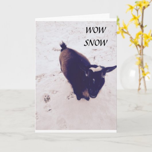 DEZE GEIT IS ZO'N KIDDER OP JE VERJAARDAG KAART (Gele Bloem)