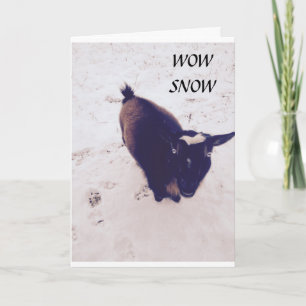 DEZE GEIT IS ZO'N KIDDER OP JE VERJAARDAG KAART